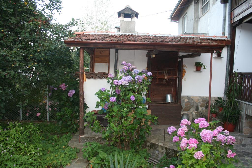 Todorova House 호텔 잘라토그라드 외부 사진